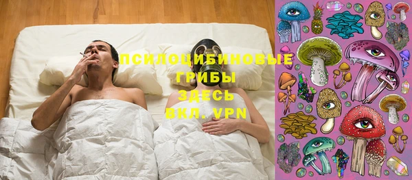 винт Богородицк