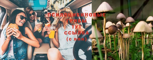 гидропоника Богданович